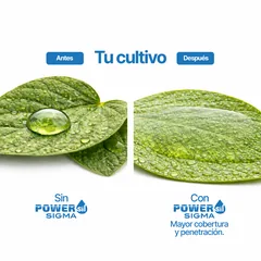 Powersil_Anuncio 1_Slide 1_Cuadrado
