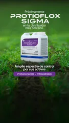 Protioflox_Prelanzamiento_AD2_Slide 3