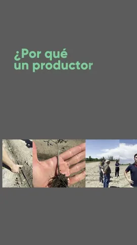 AD4_Iteración Redus