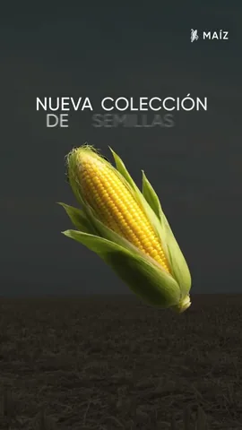 ANUNCIO_18_Maiz Brevant